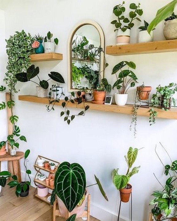 10 Beautiful Plant Wall Shelf Ideas to Inspire You - Decomagz